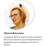 Ваколюк Ирина Анатольевна 