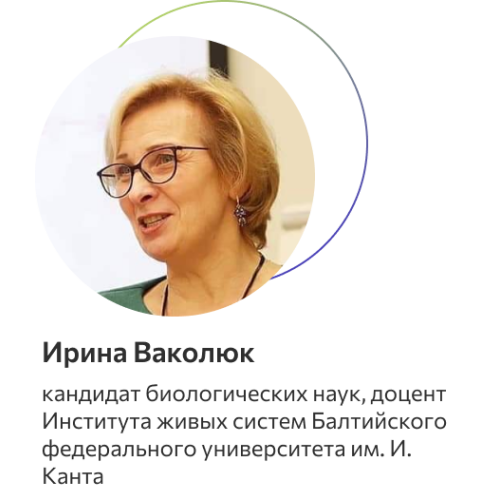 Ваколюк Ирина Анатольевна 