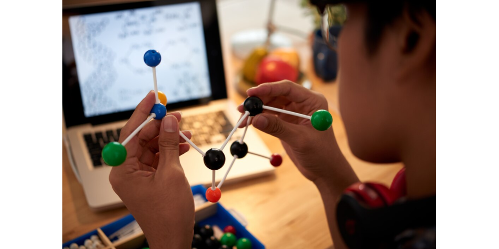 Генетика поведения