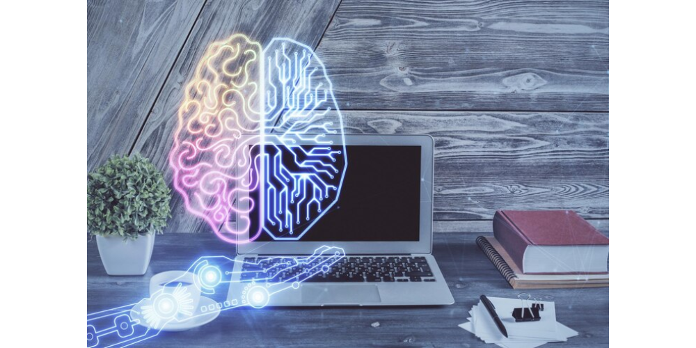 Базовые принципы нейронаук