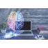 Базовые принципы нейронаук